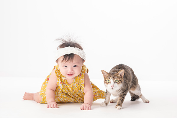 Le Mieux Photo Gallery8